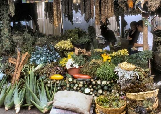 Amestecarea si utilizarea plantelor medicinal